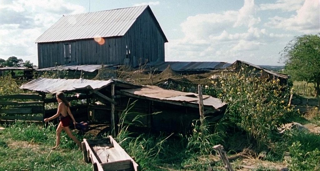 Photo du film Massacre à la tronçonneuse [1974]