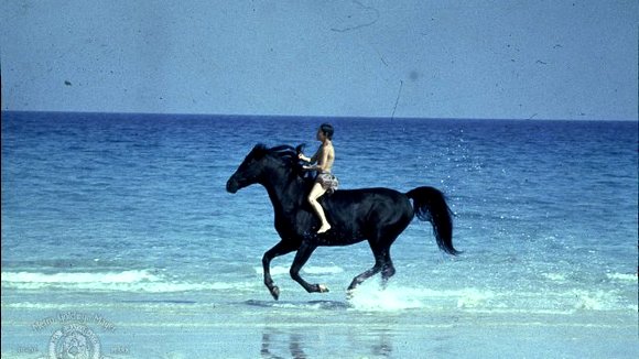 Photo from the movie The Black Stallion
