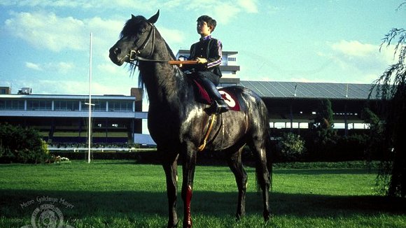 Photo from the movie The Black Stallion