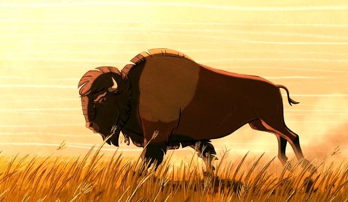 Photo from the movie Kojot négy lelke