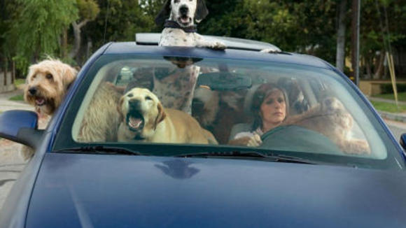 Photo from the movie Year of the Dog