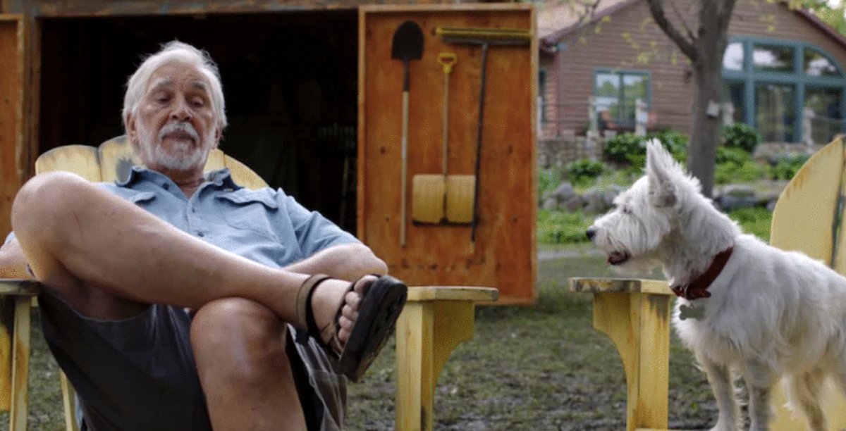 Photo from the movie Angry Neighbors