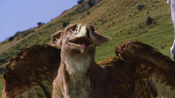 Photo from the movie The Chronicles of Narnia: The Lion, the Witch and the Wardrobe