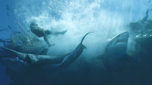 Photo from the movie Kon-Tiki