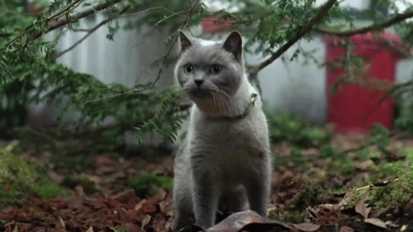 Photo from the movie Miss Minoes