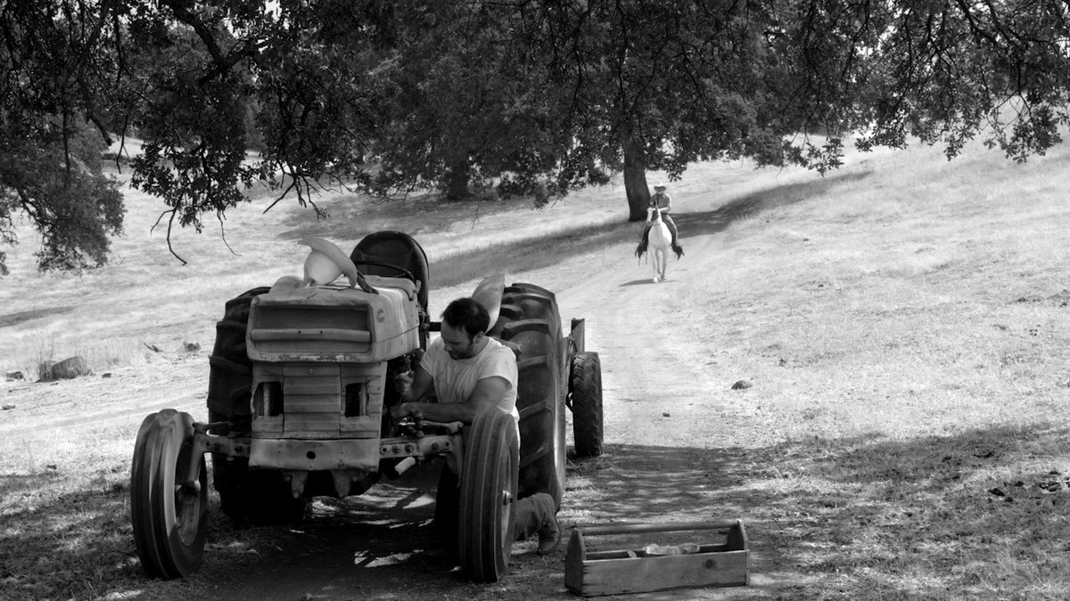 Photo from the movie The Divide