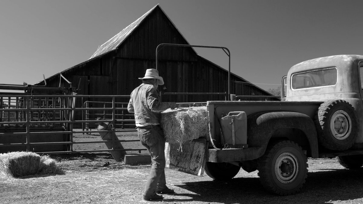 Photo from the movie The Divide