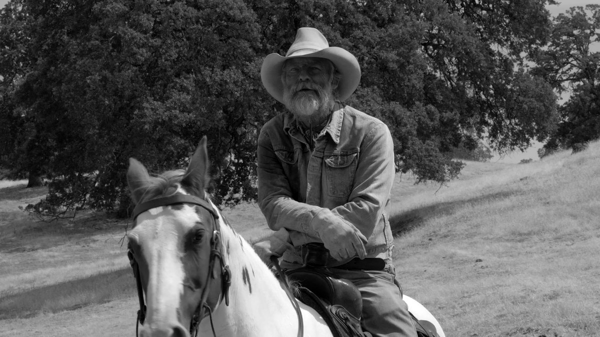 Photo from the movie The Divide