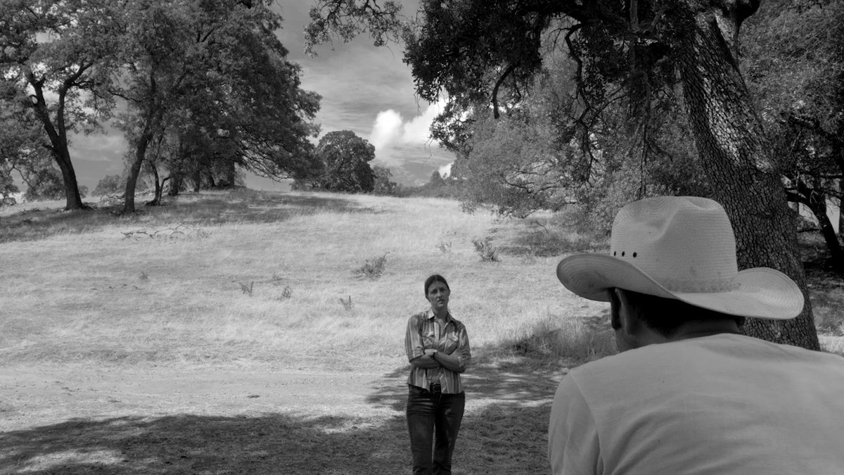 Photo from the movie The Divide