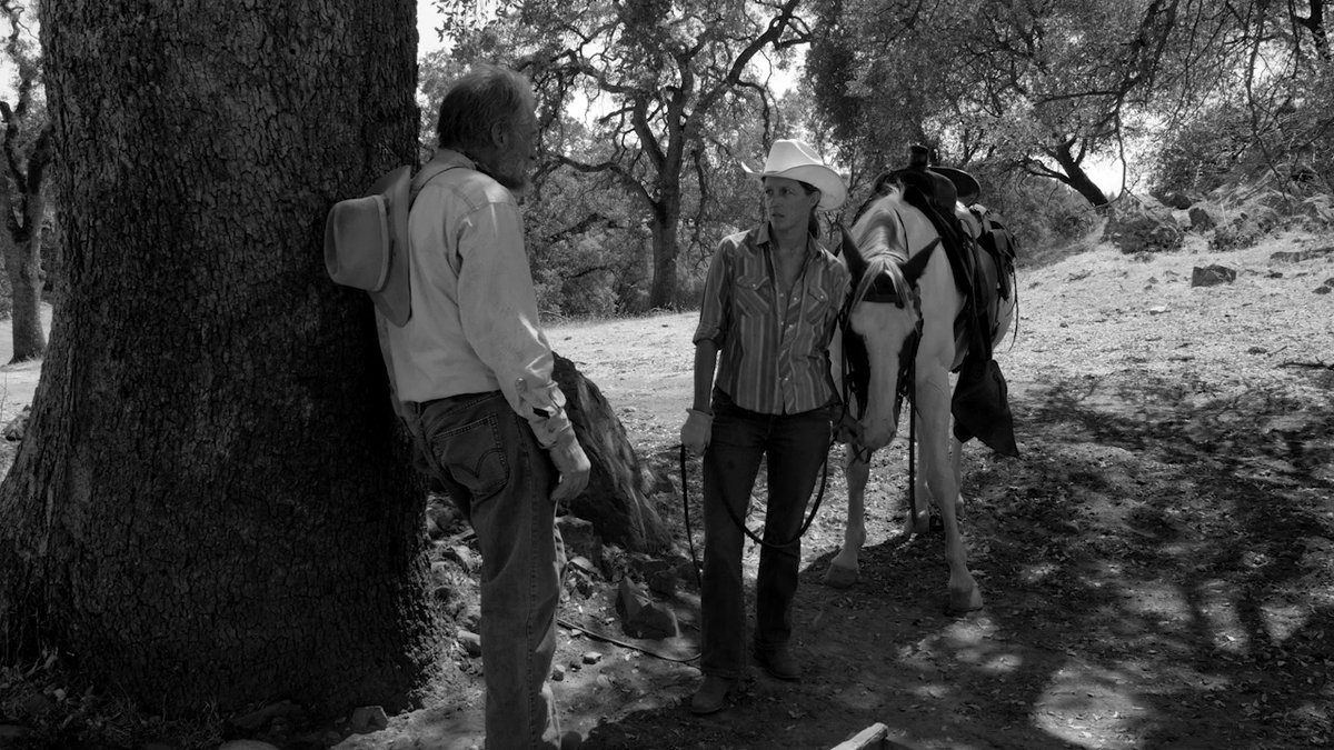 Photo from the movie The Divide