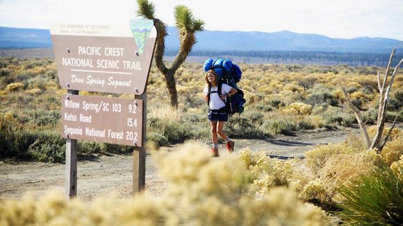 Photo from the movie Wild