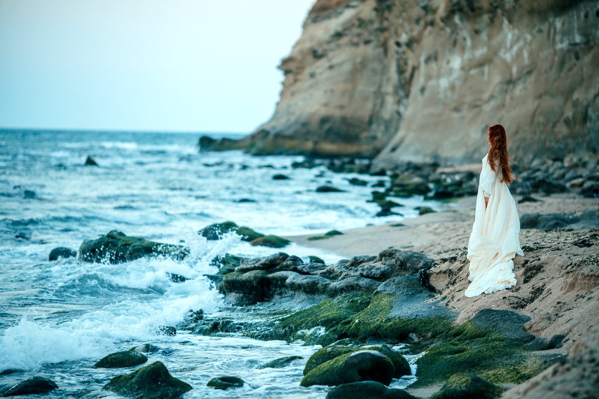 Photo du film L'île de la demoiselle [2026]