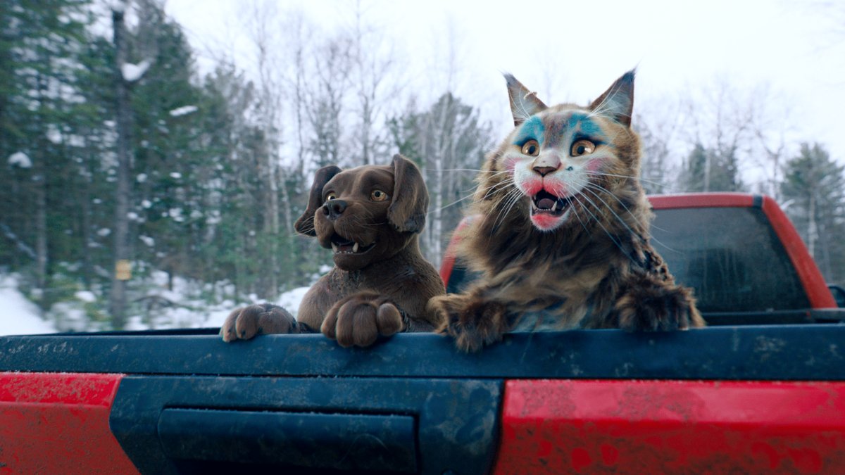 Photo from the movie Cat and Dog