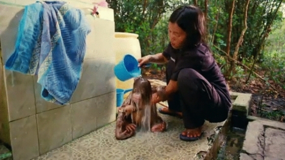 Photo from the movie Born to Be Wild