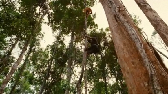 Photo from the movie Born to Be Wild