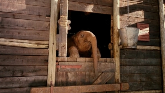 Photo from the movie Born to Be Wild