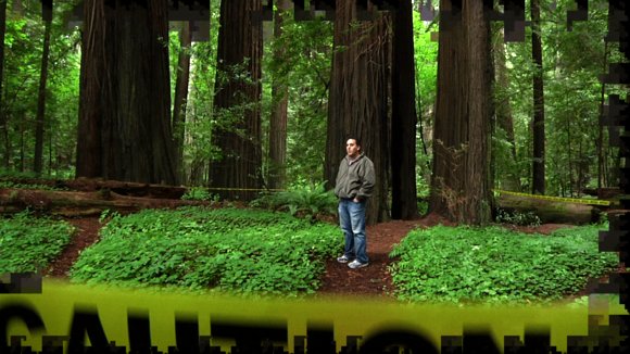 Photo from the movie Rooted in Peace