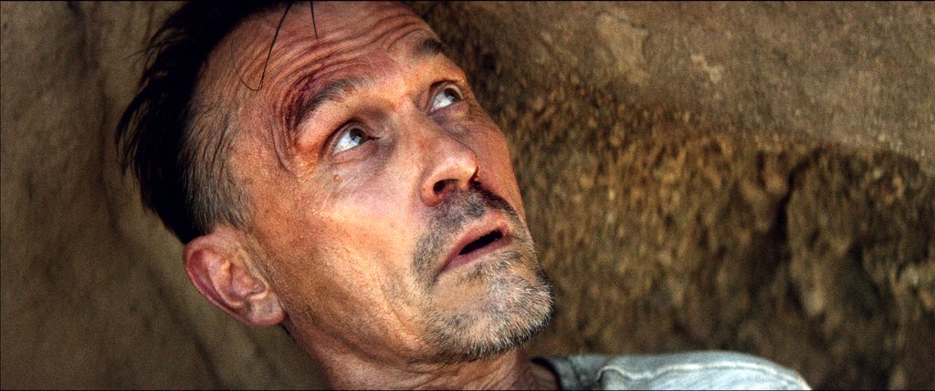 Photo from the movie Where Is Rocky II?