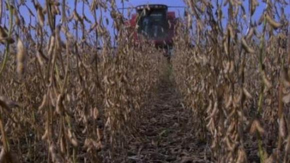 Photo from the movie Food, Inc.