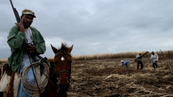 Photo from the movie The Price of Sugar