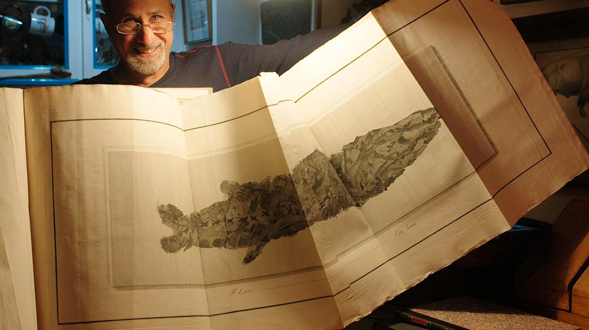 Photo from the movie The Booksellers