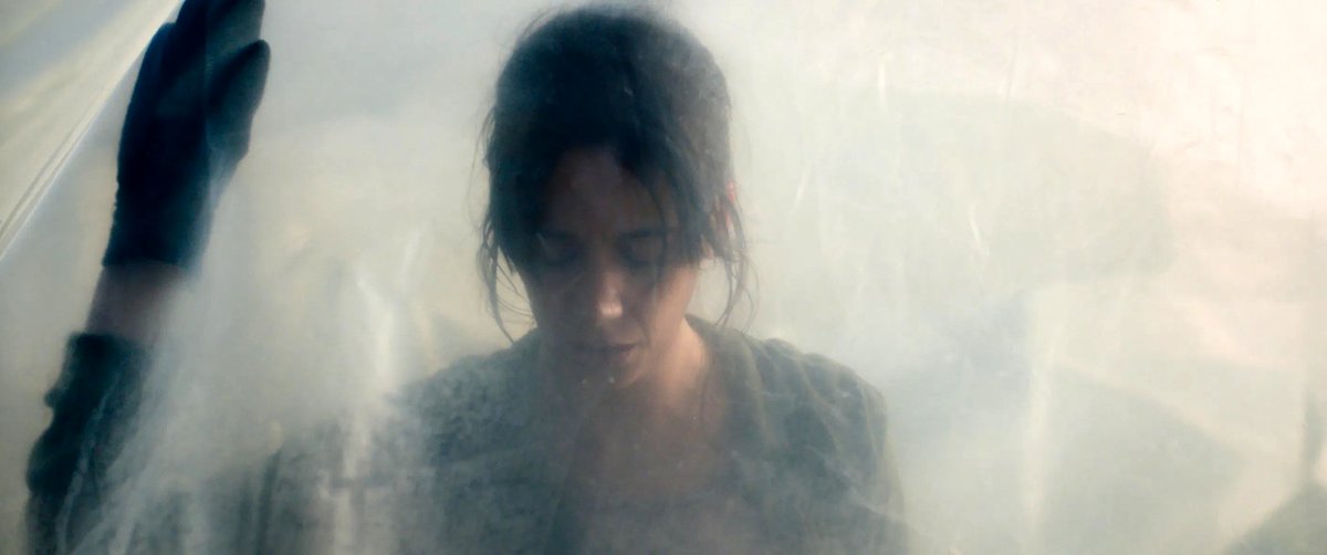 Photo from the movie The Swarm