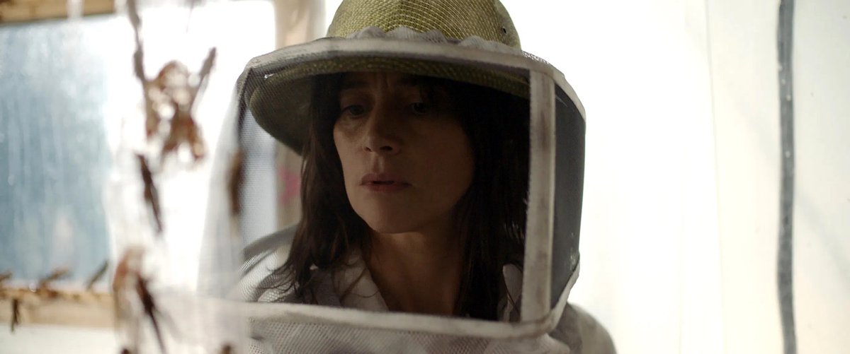 Photo from the movie The Swarm