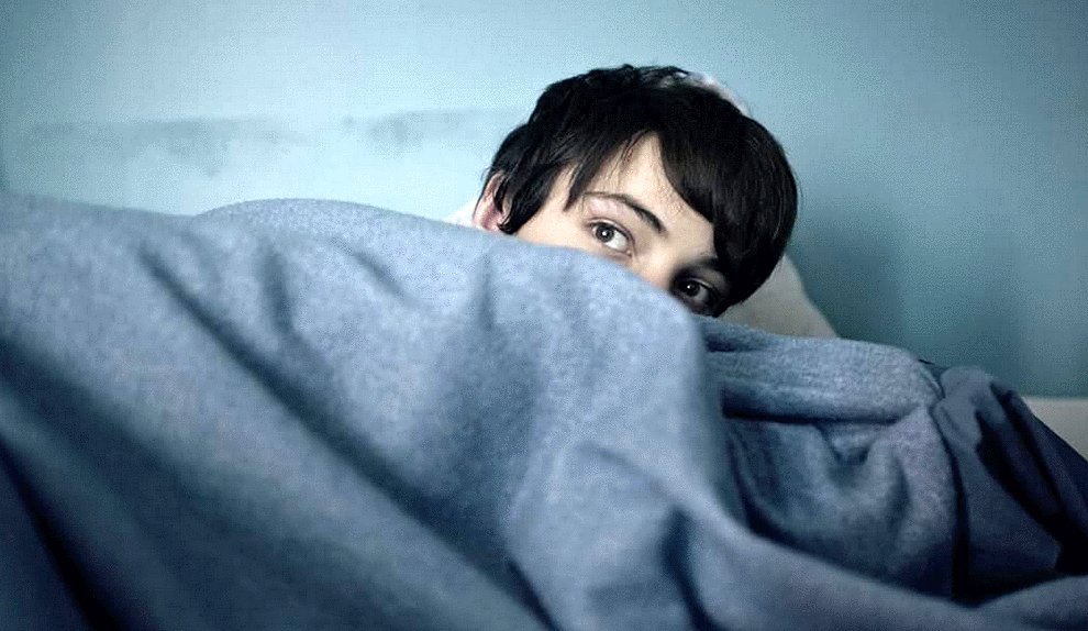 Photo du film The Dogs [2025]