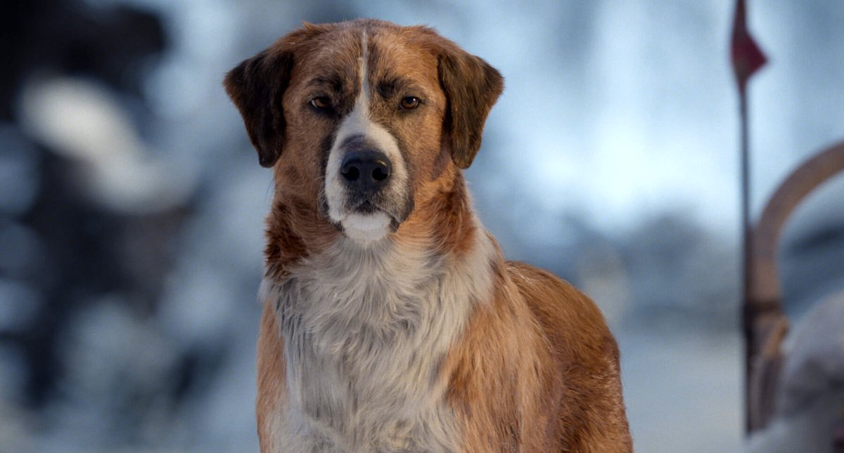 Photo from the movie The Call of the Wild