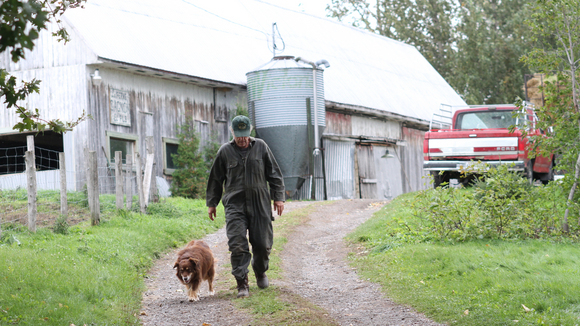 Photo from the movie The Auction