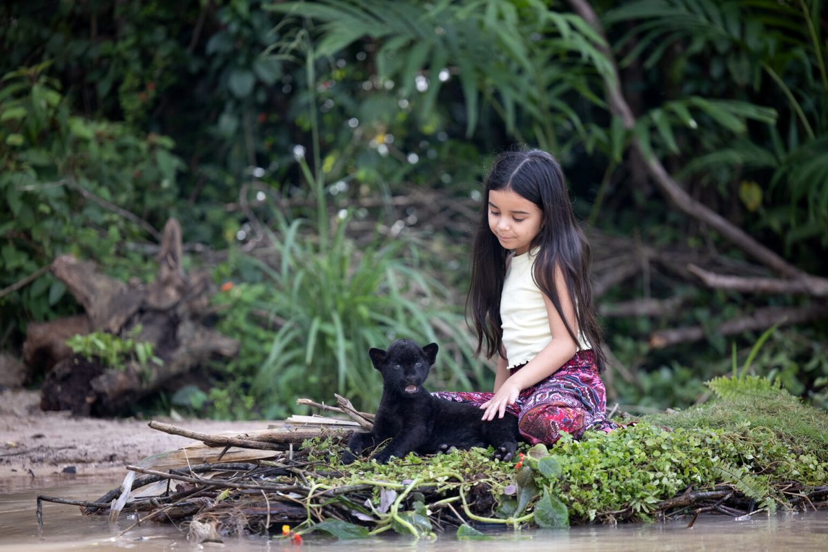 Photo from the movie Jaguar My Love