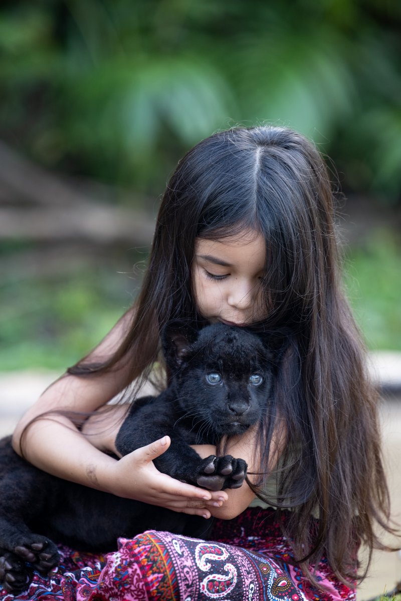 Photo from the movie Jaguar My Love