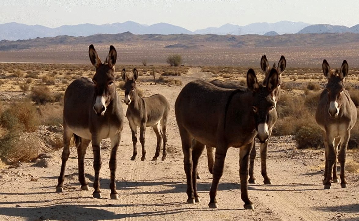 Photo from the movie The Outwaters [2022]