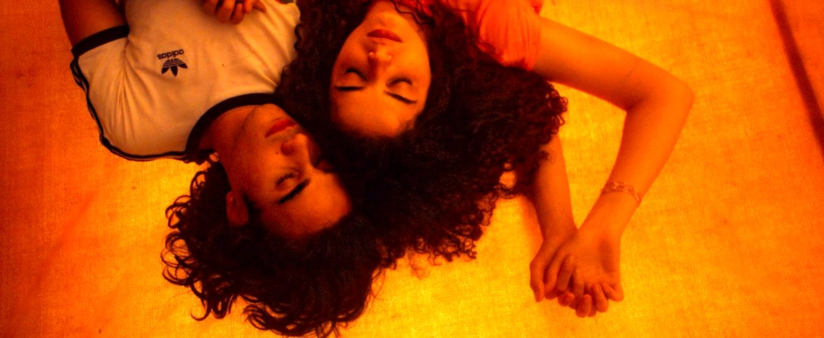 Photo du film L'enfant bélier [2025]