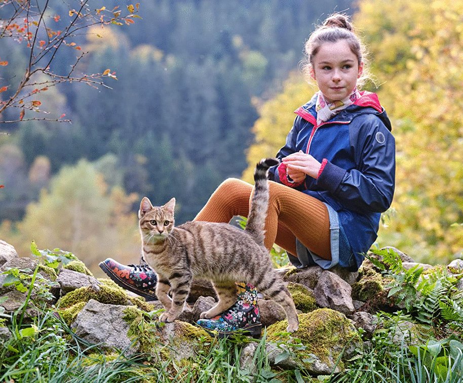 Photo from the movie Mon chat et moi: La grande aventure de Rroû [2023]