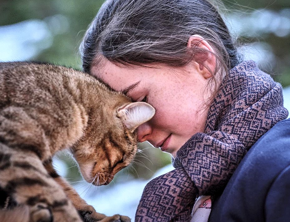 Photo from the movie Mon chat et moi: La grande aventure de Rroû [2023]