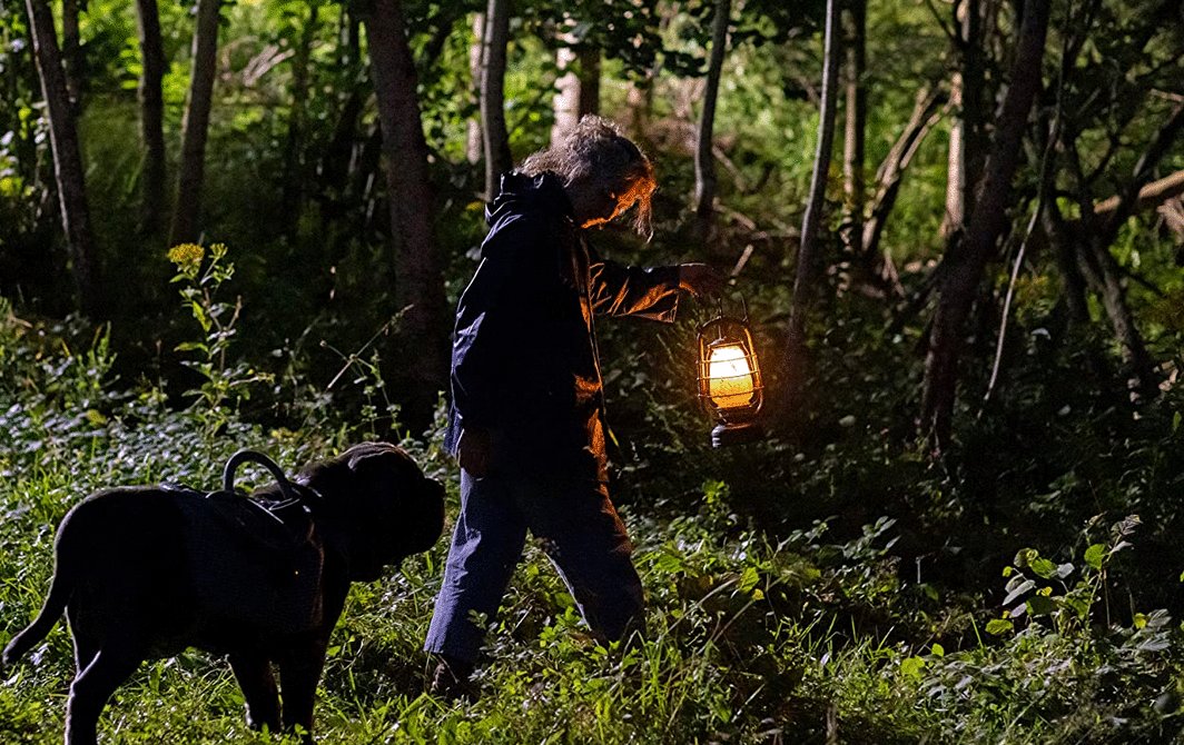 Photo from the movie Mon chat et moi: La grande aventure de Rroû [2023]