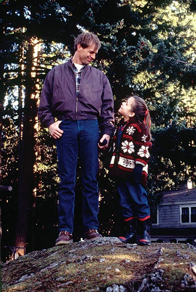 Photo from the movie Andre