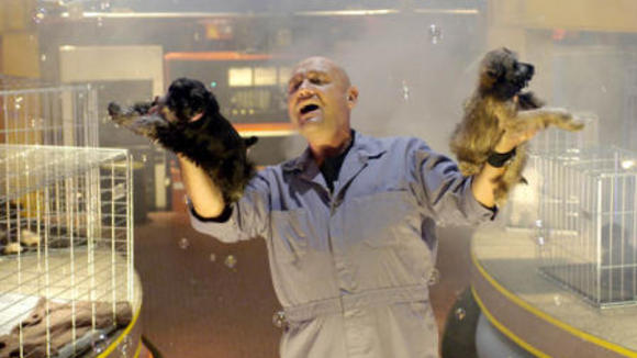 Photo from the movie Bailey's Billions