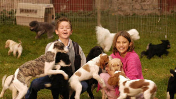 Photo from the movie Bailey's Billions