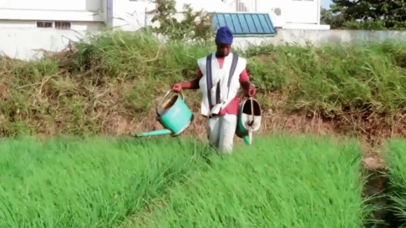 Photo from the movie Plant This Movie