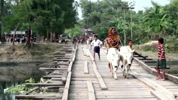 Photo from the movie Plant This Movie