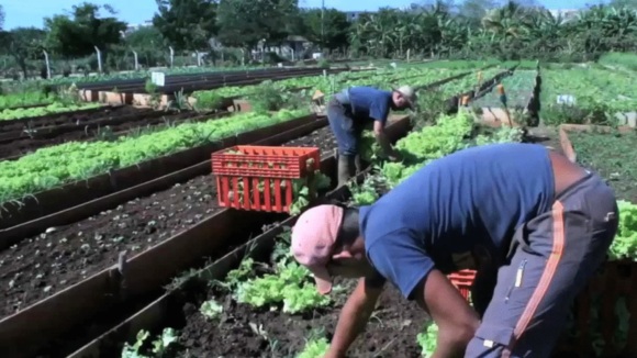 Photo from the movie Plant This Movie