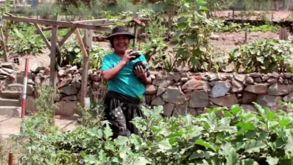 Photo from the movie Plant This Movie