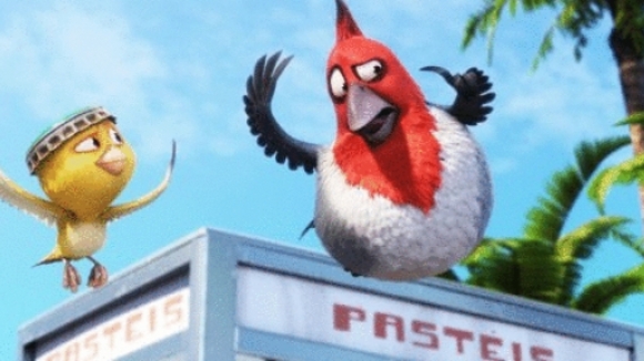 Photo from the movie Rio