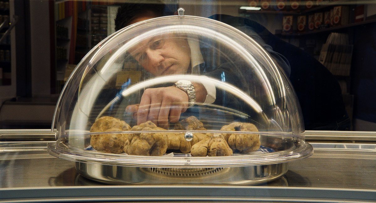 Photo from the movie The Truffle Hunters