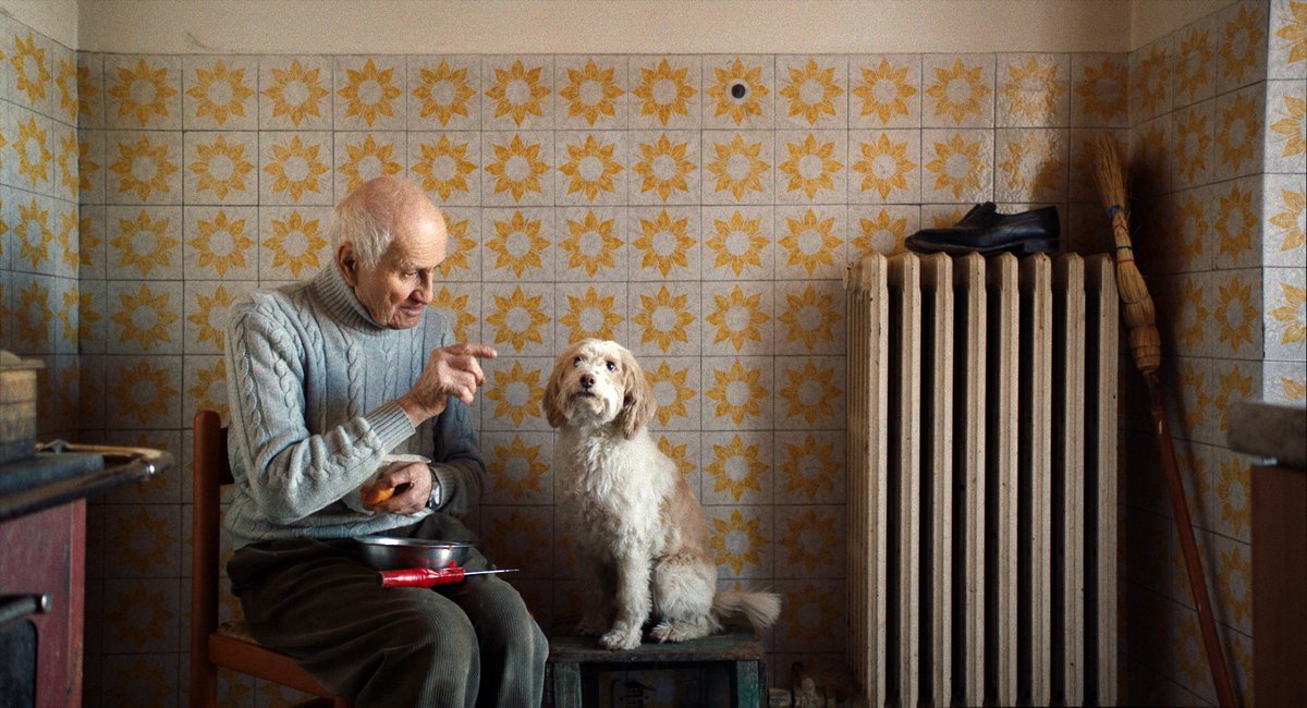 Photo from the movie The Truffle Hunters