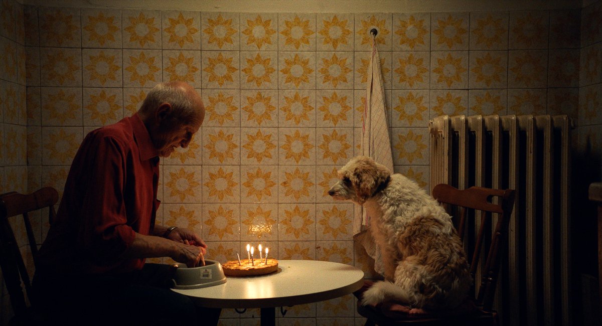 Photo from the movie The Truffle Hunters