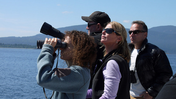 Photo from the movie Blackfish