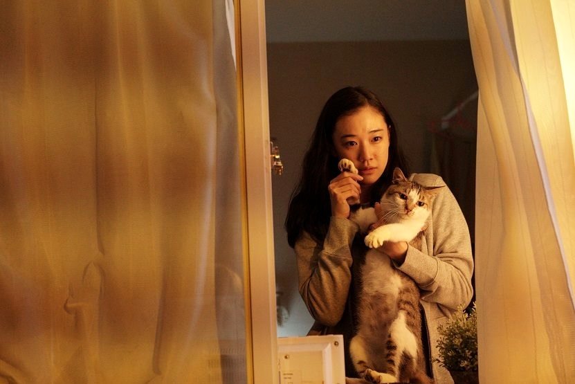 Photo from the movie Japanese Girls Never Die [2016]